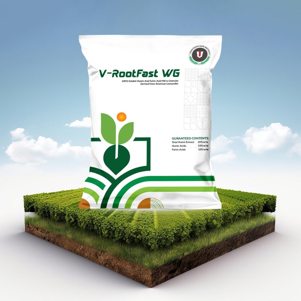 food packaging design, box packaging design, creative packaging, packaging design agency